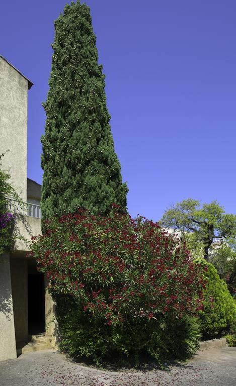 Motel Le Vieux Moulin LʼÎle-Rousse Εξωτερικό φωτογραφία